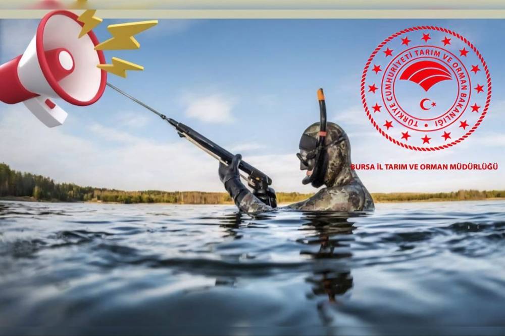 Amatör balıkçılar için sualtı avcılığında yeni zorunluluk