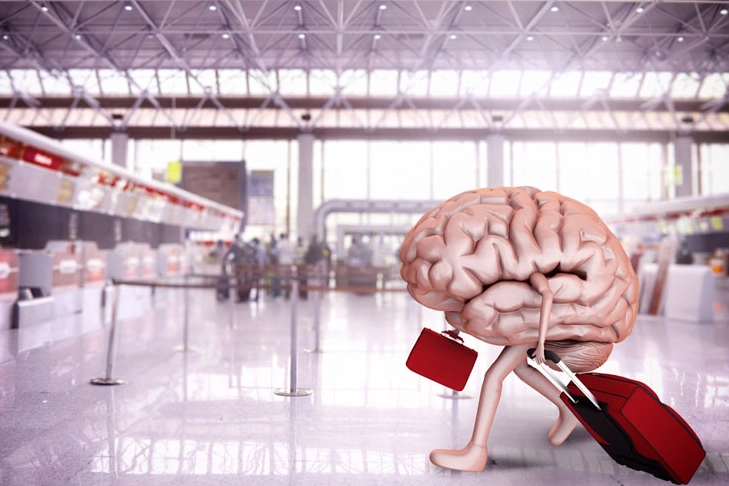 Beyin göçü durmadı! Her 50 üniversite mezunundan biri yurt dışında!