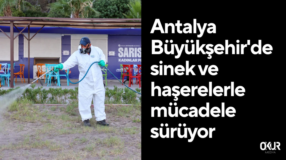 Antalya Büyükşehir'de sinek ve haşerelerle mücadele sürüyor