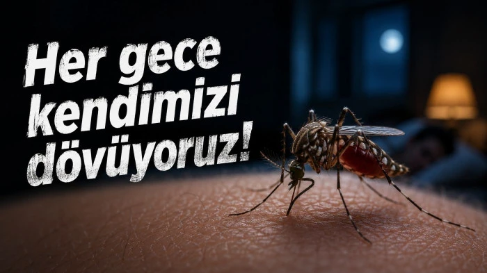 Antalya&rsquo;da uyku haram oldu: Her gece kendimizi d&ouml;v&uuml;yoruz!