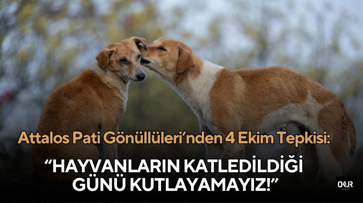 Attalos Pati Gönüllüleri’nden 4 Ekim Tepkisi: “Hayvanların Katledildiği Günü kutlayamayız!”