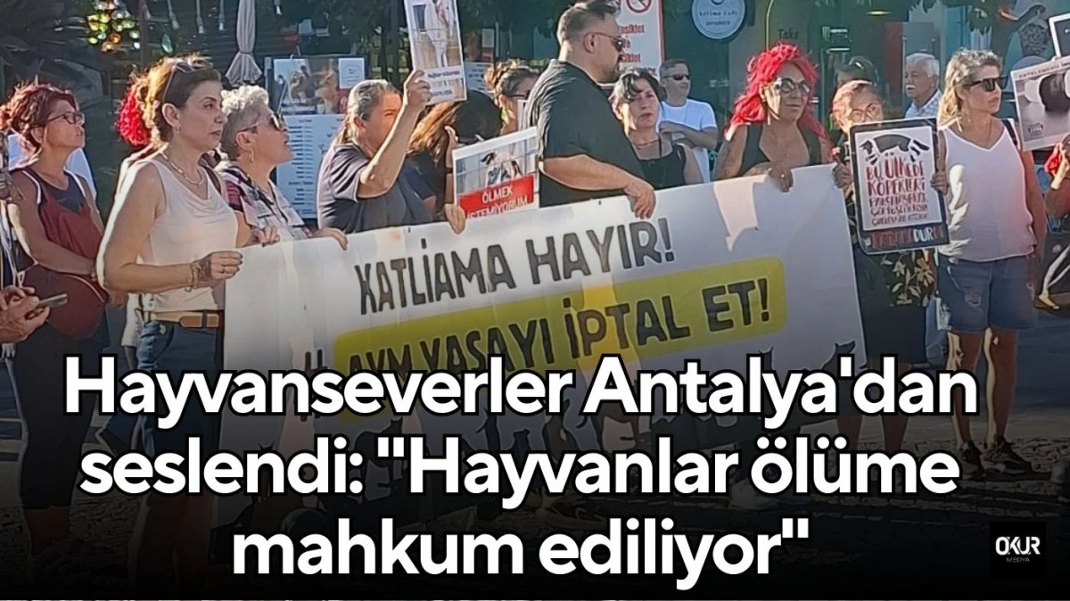 Hayvanseverler Antalya'dan seslendi: 