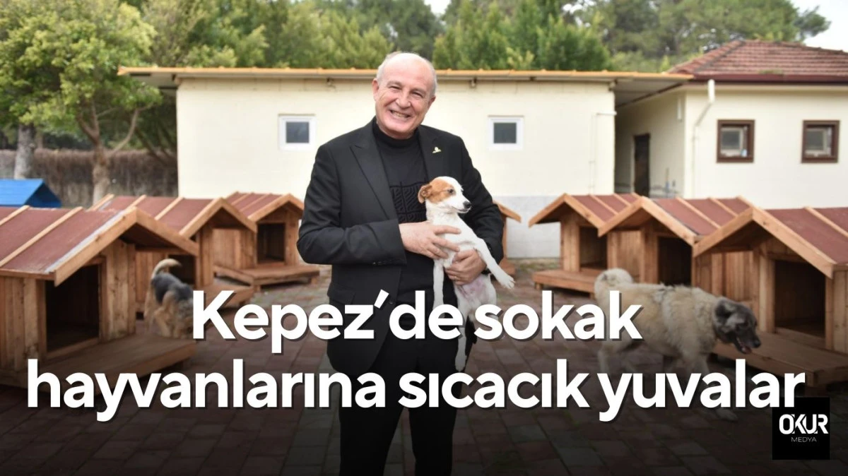 Kepez&rsquo;de sokak hayvanlarına sıcacık yuvalar