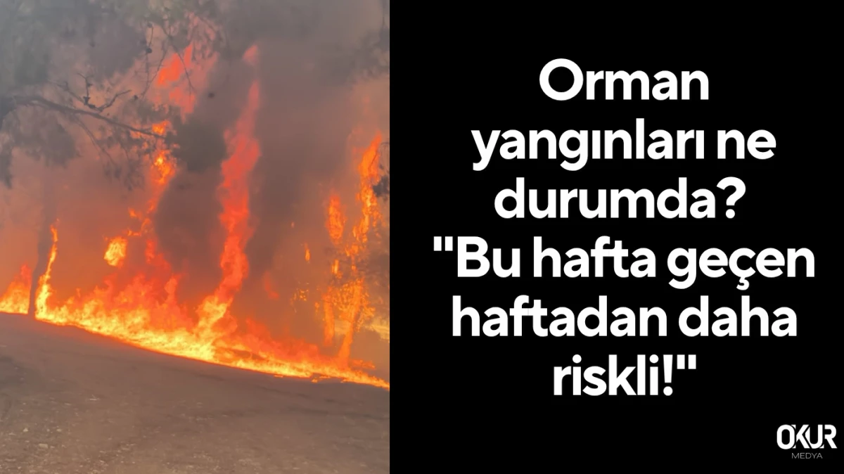 Orman yangınları ne durumda? 