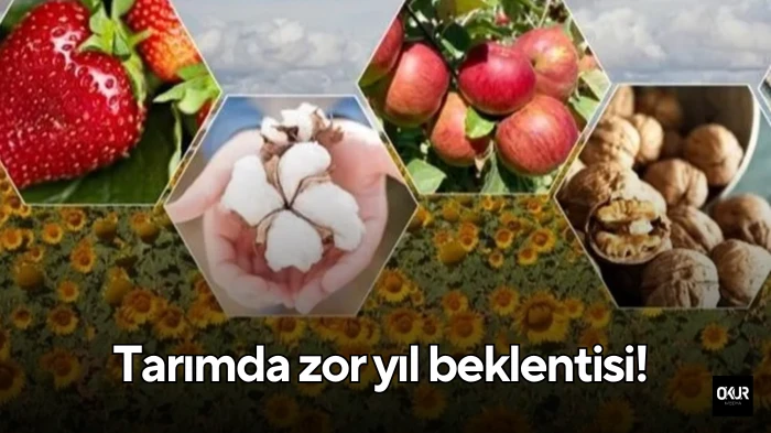 Tarımda zor yıl beklentisi!